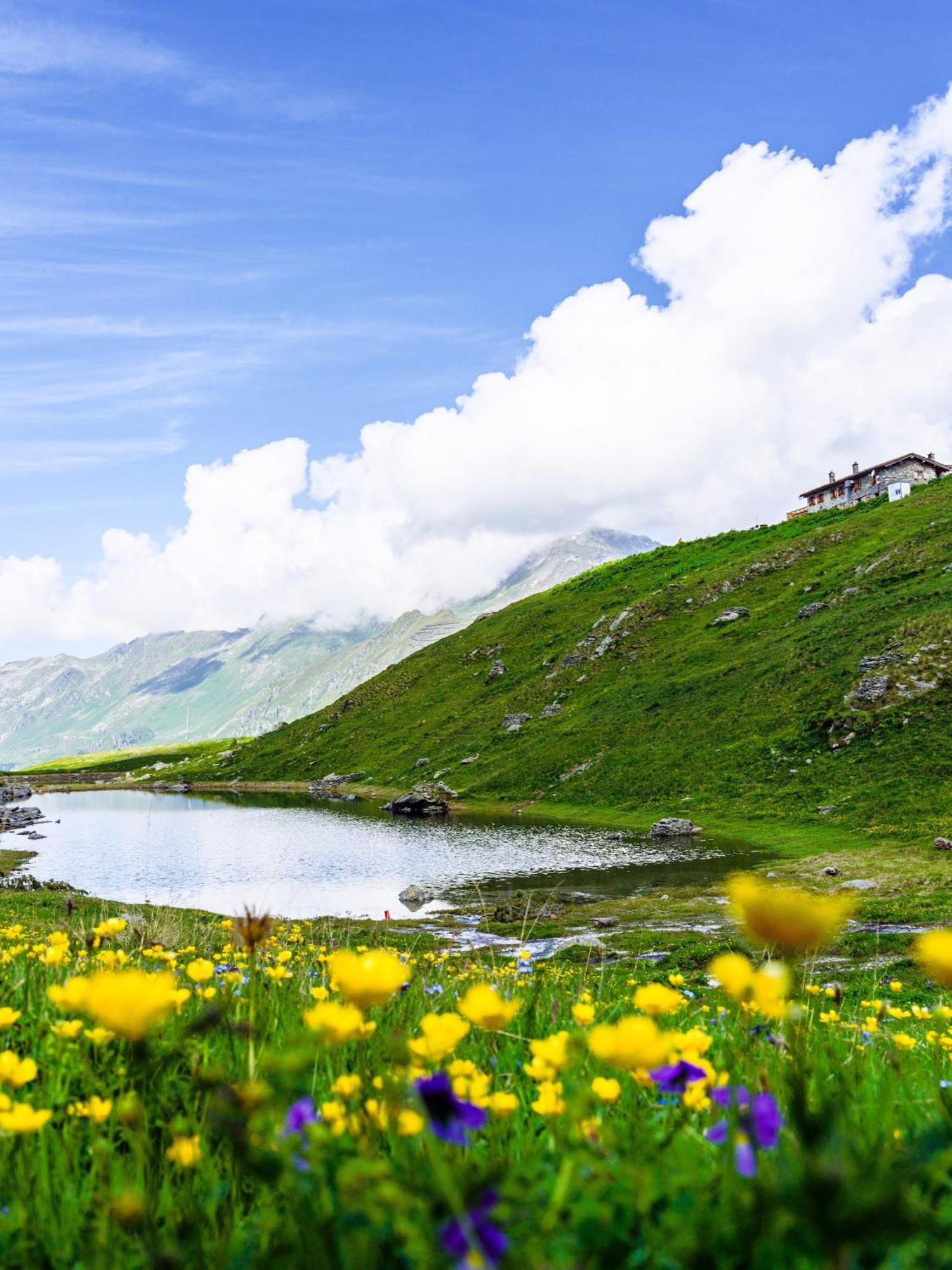Rifugio Baita Belvedere Чамполук Екстериор снимка