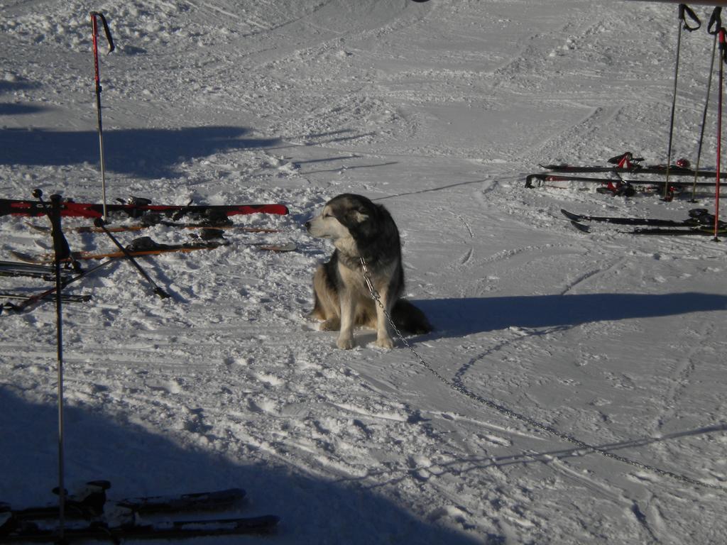 Rifugio Baita Belvedere Чамполук Екстериор снимка